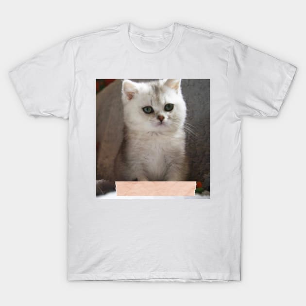 Saba cute cats T-Shirt by kunasin